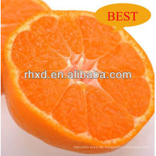 frische Satsuma Mandarin Preis / übersetzen Indonesien frische Mandarine